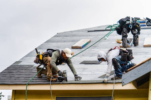Professional Gutter Installation technician working in Hudson, TX